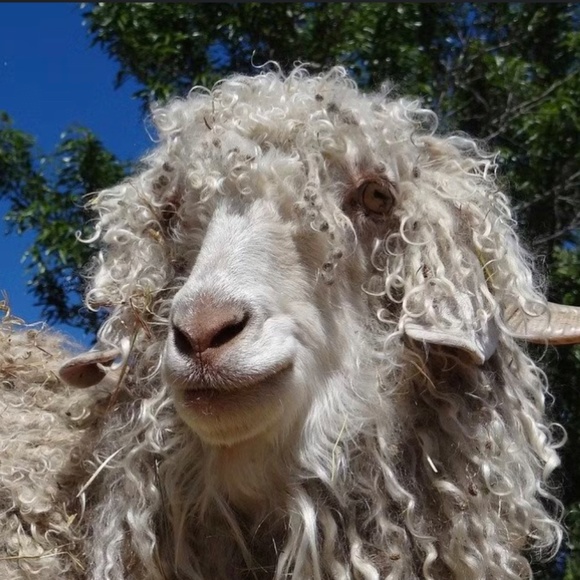 Luxury Miss Sixty Brand Pink Mohair Embroidered Sweater Top - Picture 9 of 9